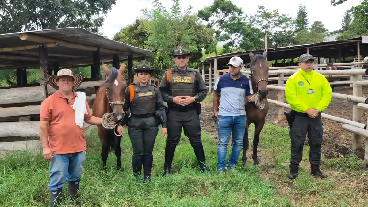 Dos equinos hurtados en La Tebaida fueron recuperados en Tolima antes de su venta por cerca de $400 millones.