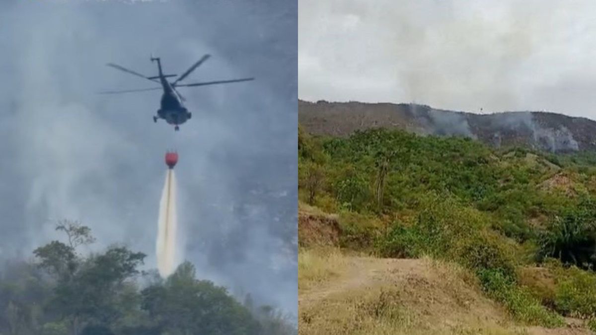 Incendio cerro Las Mercedes | Incendios forestales | Tolima