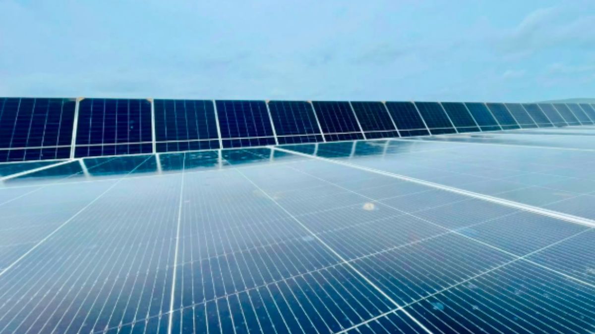 Paneles solares