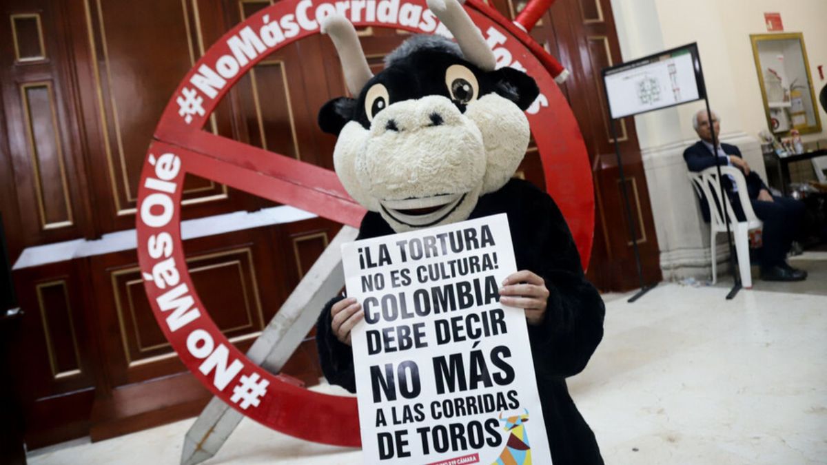 ¿Qué retos tiene la implementación de la Ley ‘No Más Olé’?