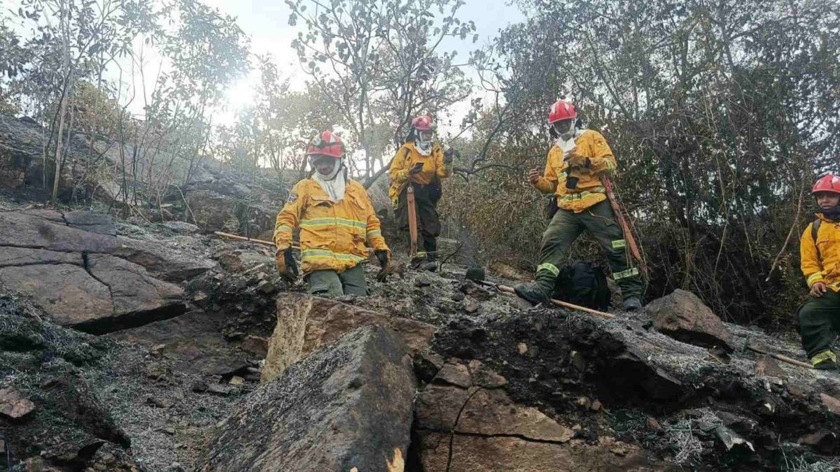 Incendios Tolima | Emergencias | Incendios de cobertura vegetal Tolima