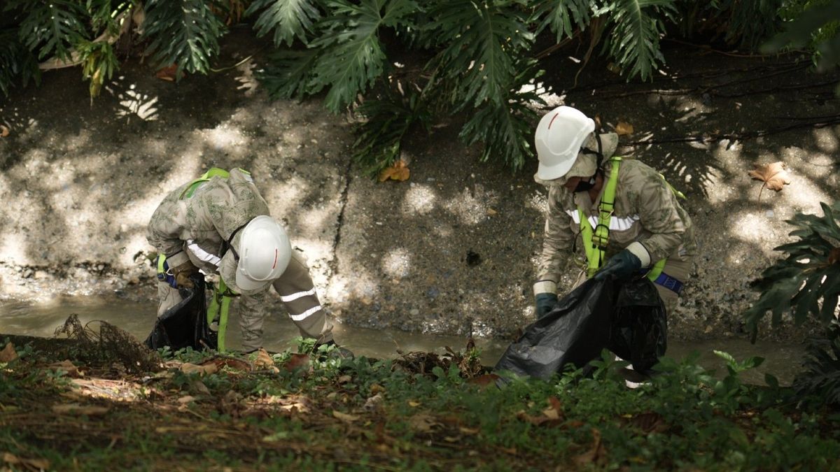 Pospenados trabajando en quebradas de Medellín