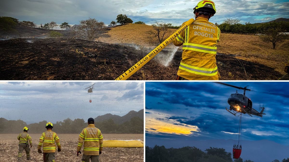 ¿Cuántos bomberos de Bogotá fueron enviados a los incendios del Tolima?