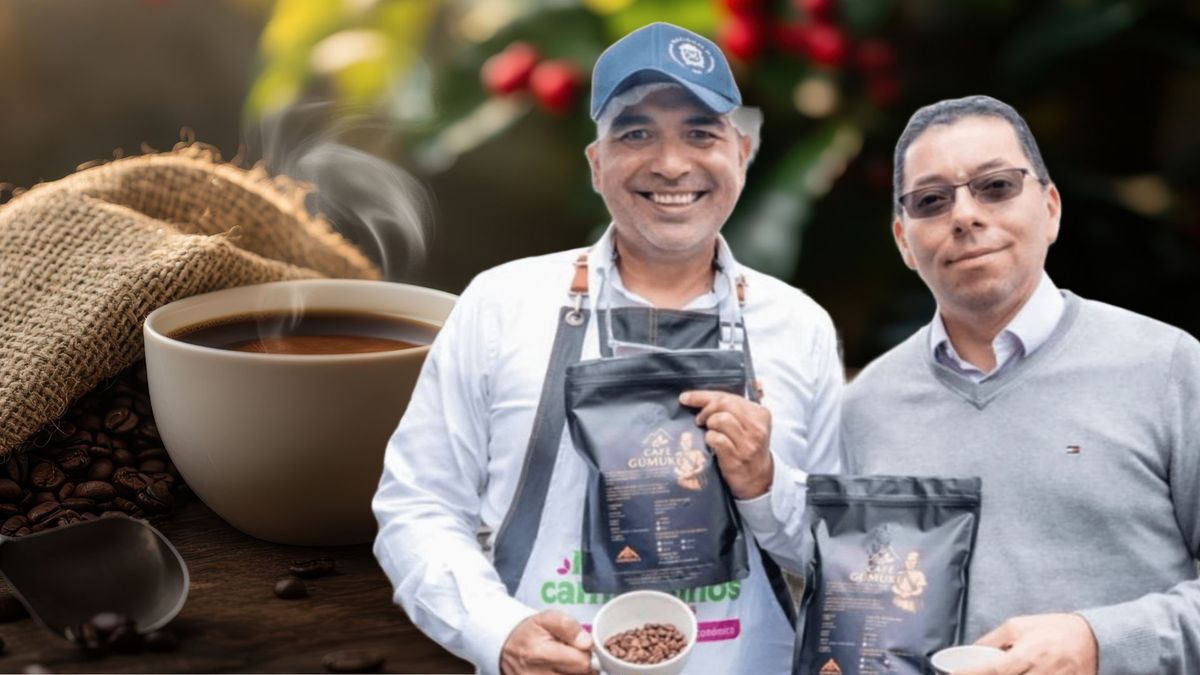 Café bogotano tendrá nuevas alternativas para llegar a compradores