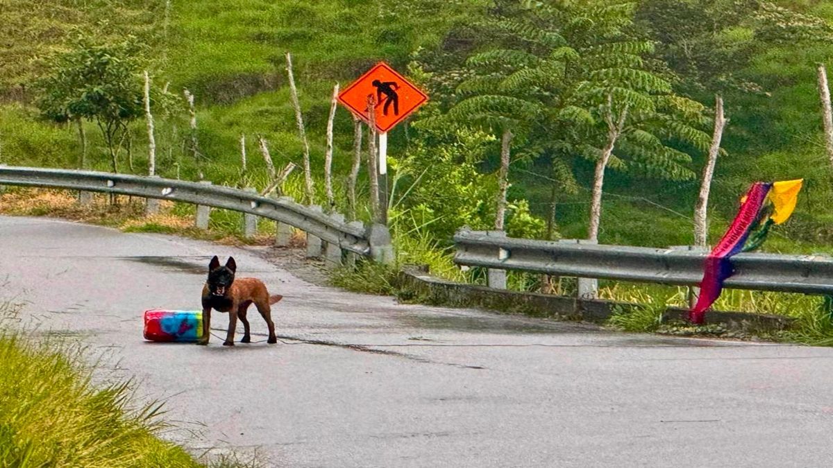 Ejército interviniendo explosivos en Ituango