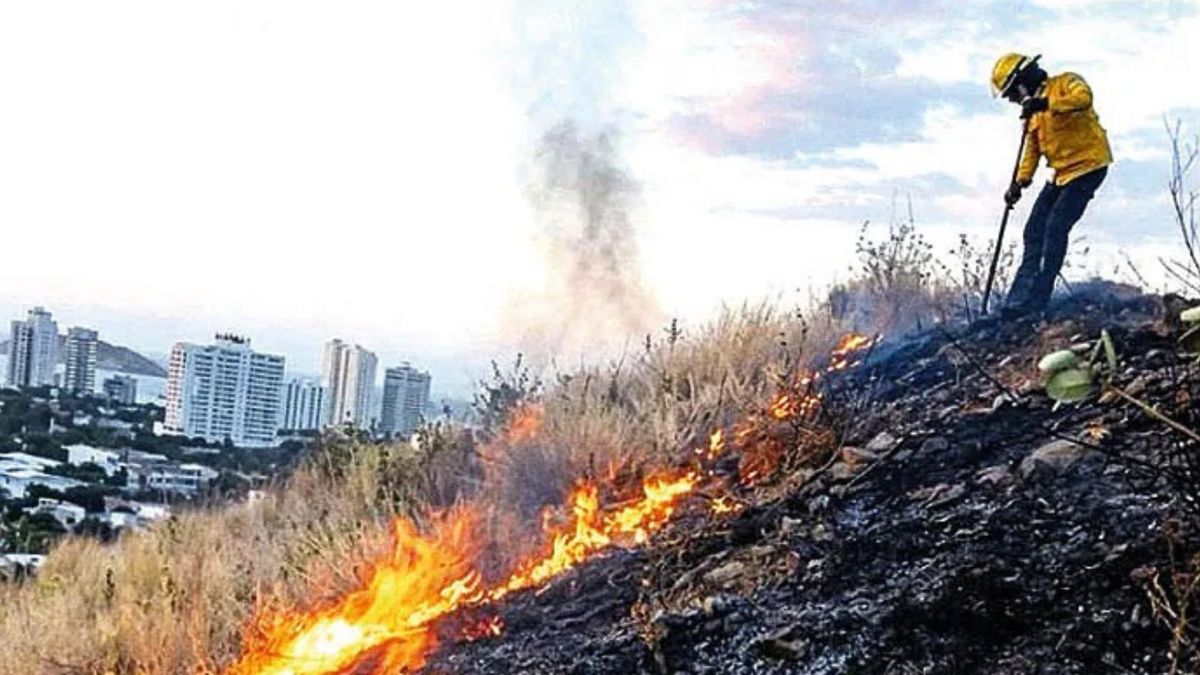 Incendios forestales en cerros Santa Marta