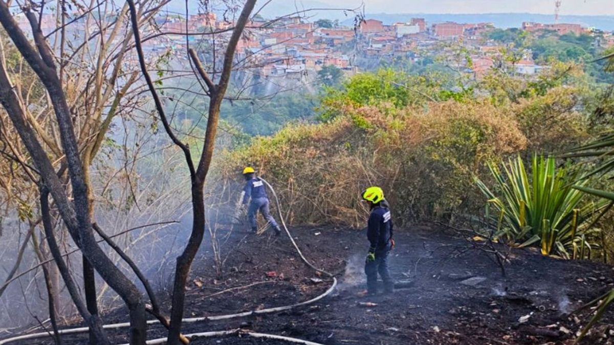 Escarpas de Bucaramanga, en alerta: Bomberos combaten hasta tres incendios forestales al día