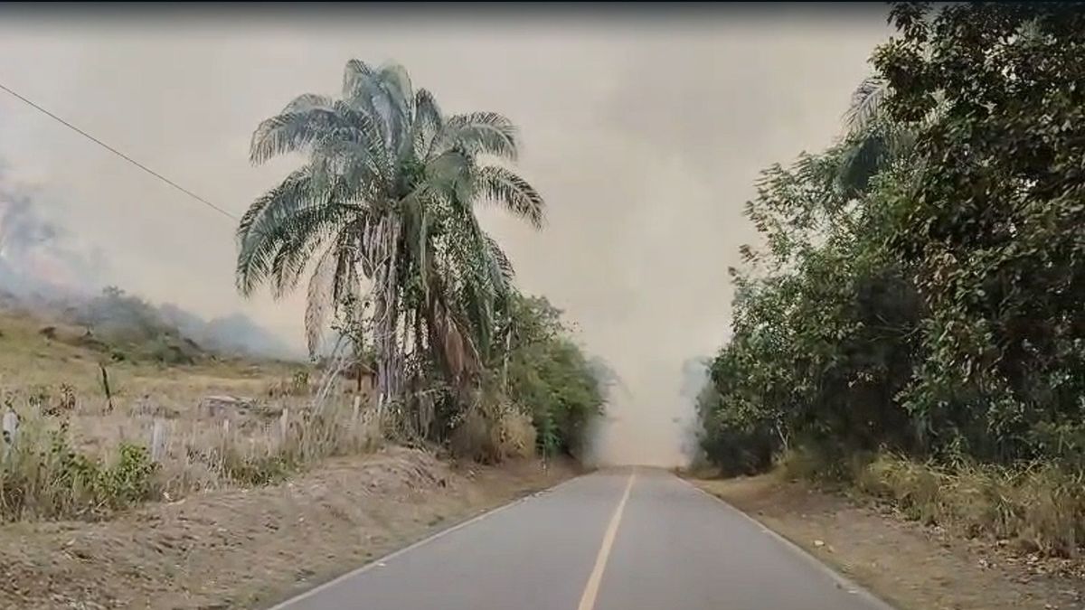 Incendio Viotá agosto 24