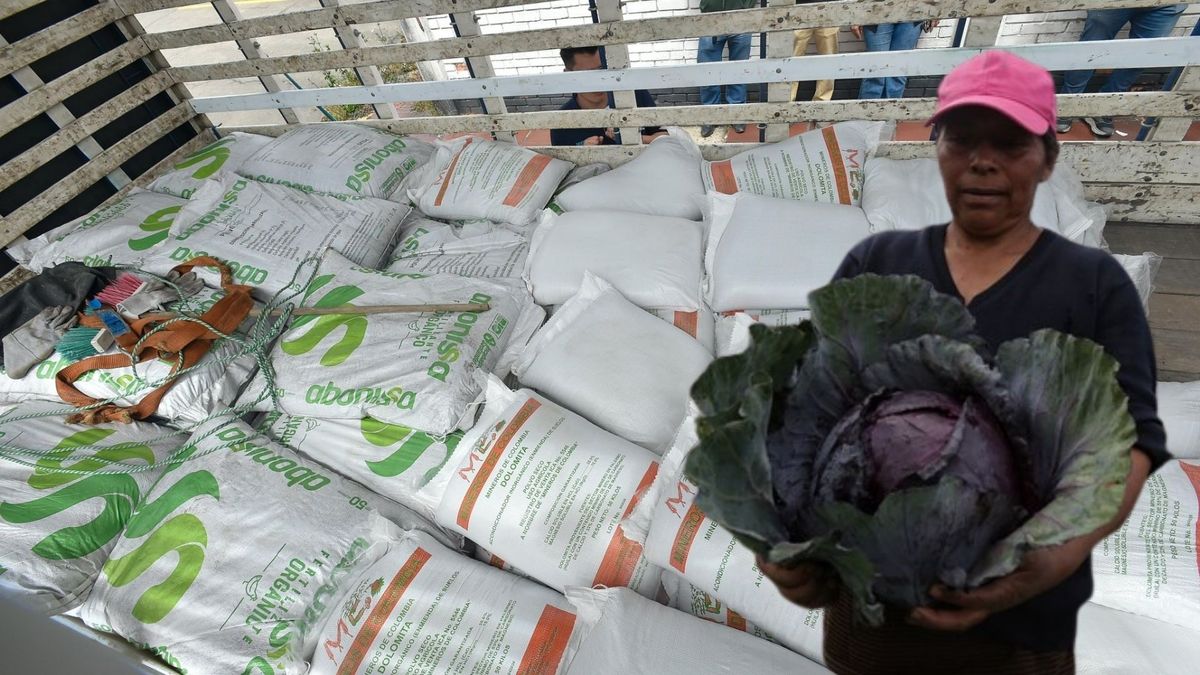 Cundinamarca se prepara para la sequía con 136 toneladas de forraje en 34 municipios