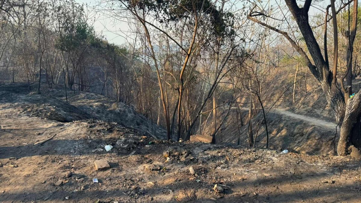 Tolima: Alimentos suben de precio en Ibagué por incendios