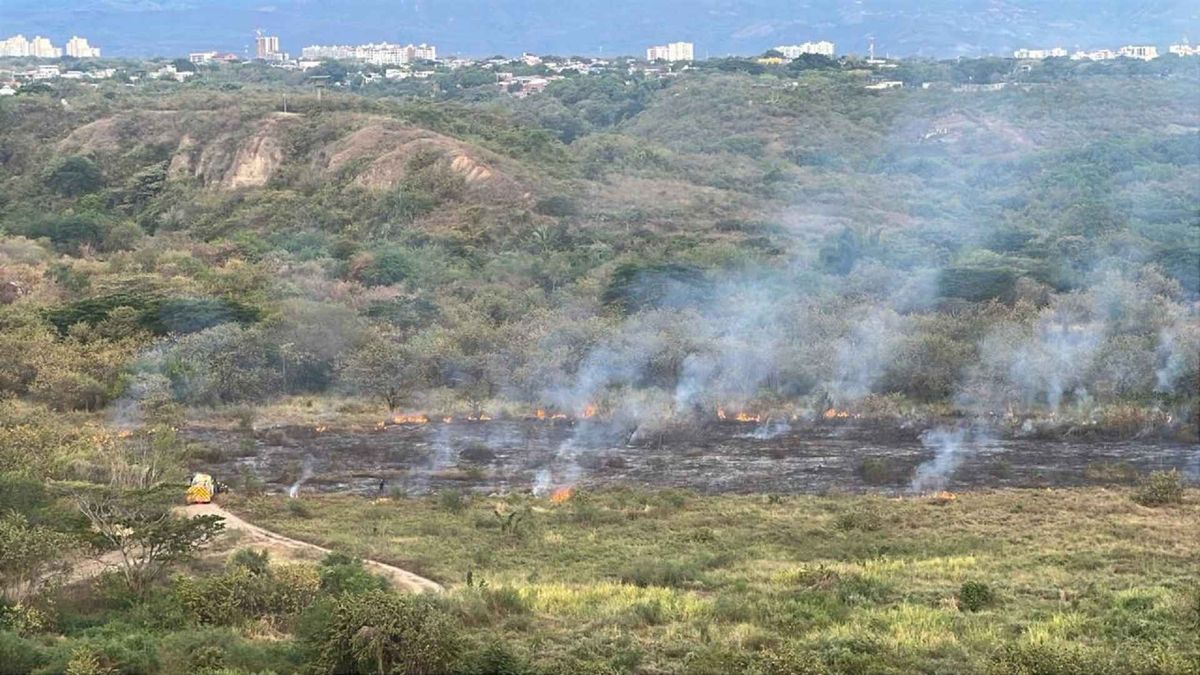 Incendios Huila: 24 municipios y 1.141 hectáreas afectadas en lo corrido de 2026