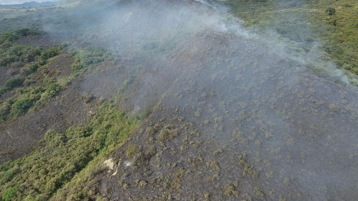 Hectáreas de vegetación incendiadas