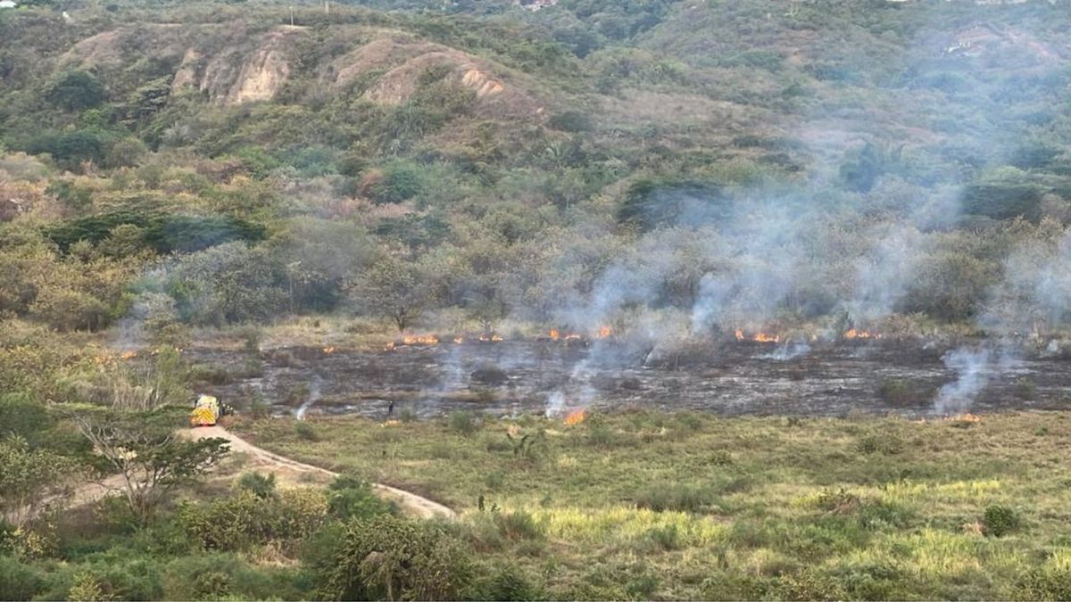 Hectáreas de vegetación incendiadas