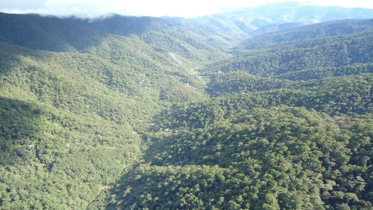 Río Las Ceibas Neiva