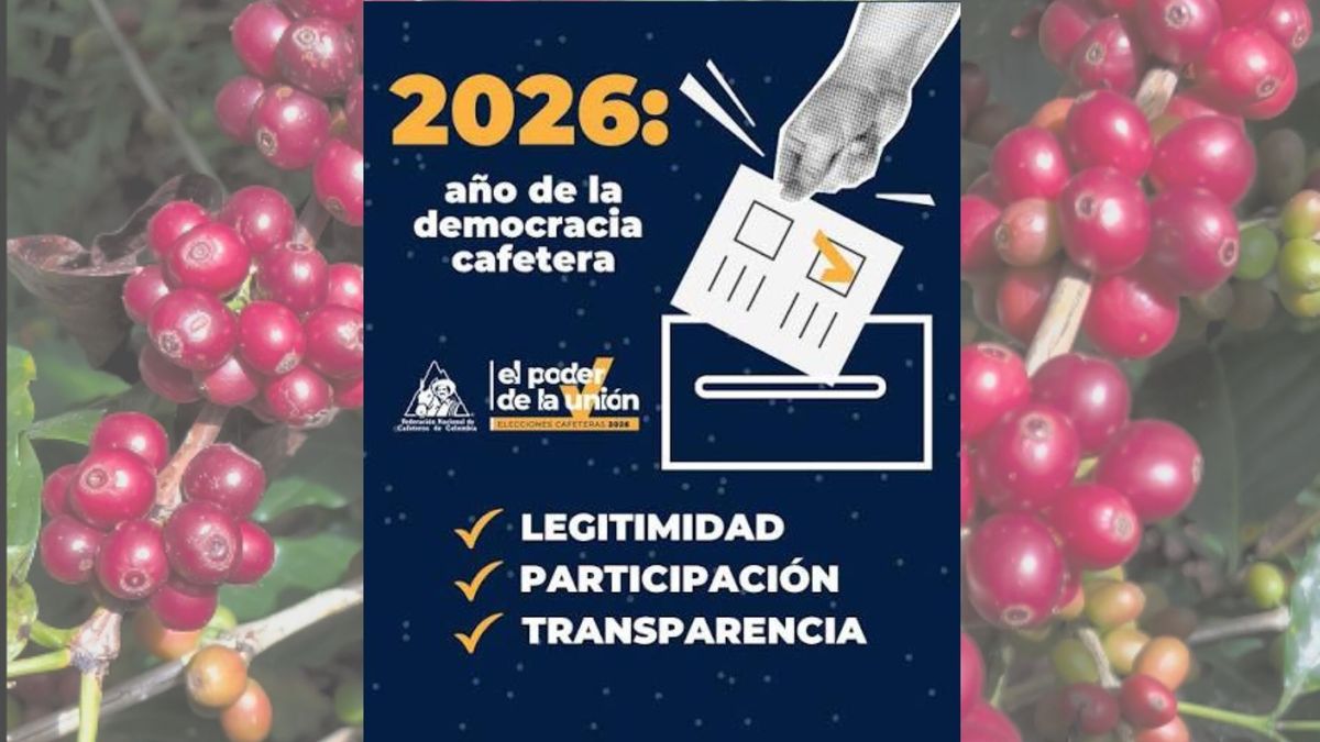 Elecciones cafeteras 2026