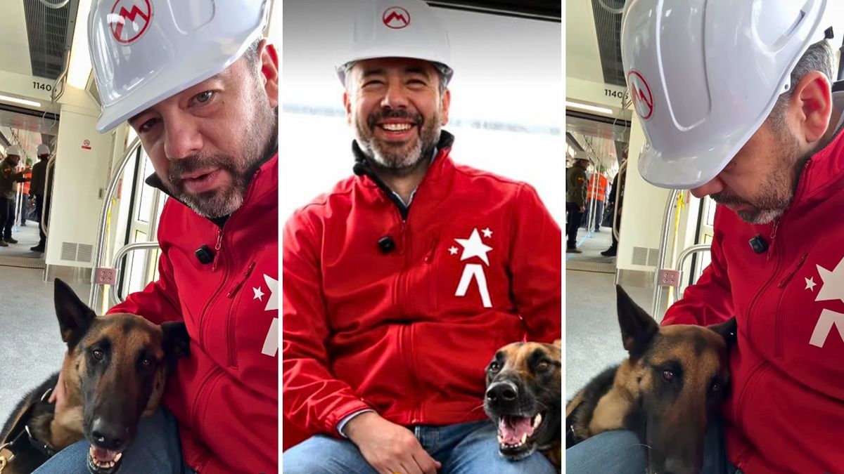 Hashi, el primer perro que subió al Metro de Bogotá