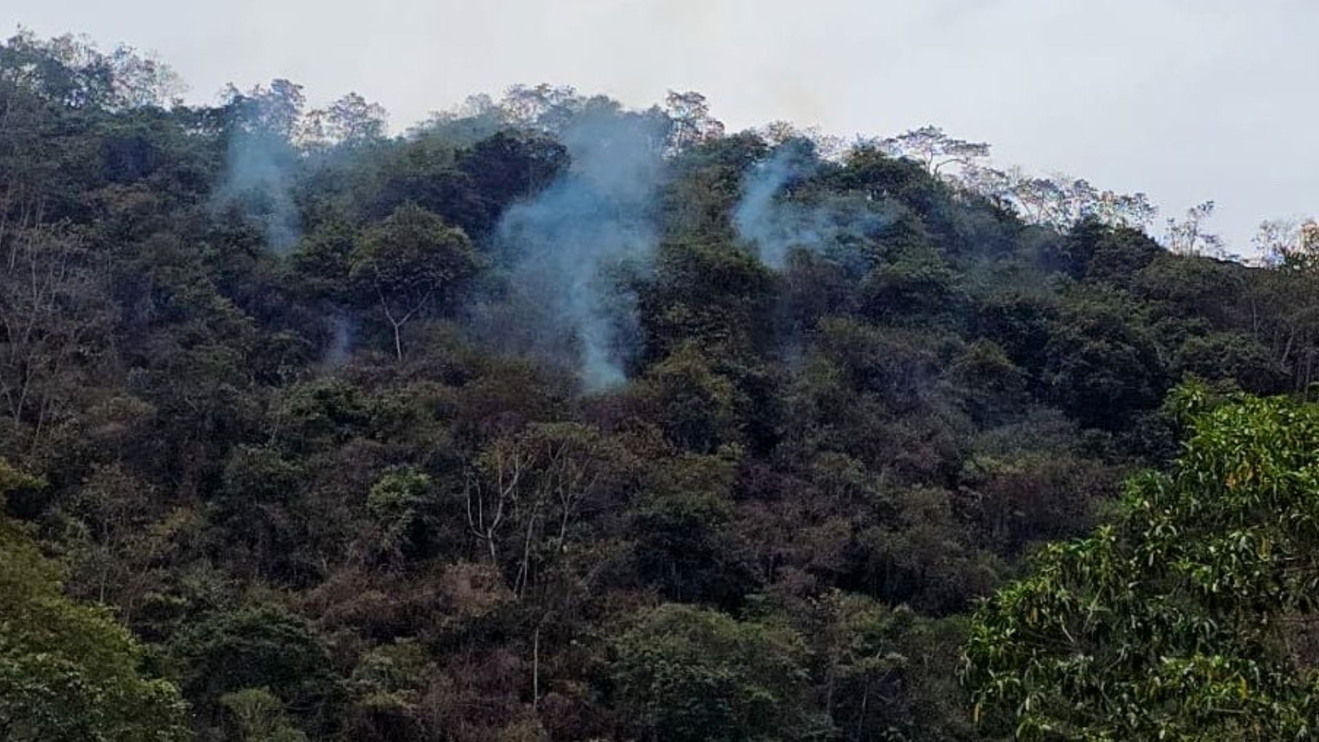 Helicóptero con piscina apaga llamas en La Vega