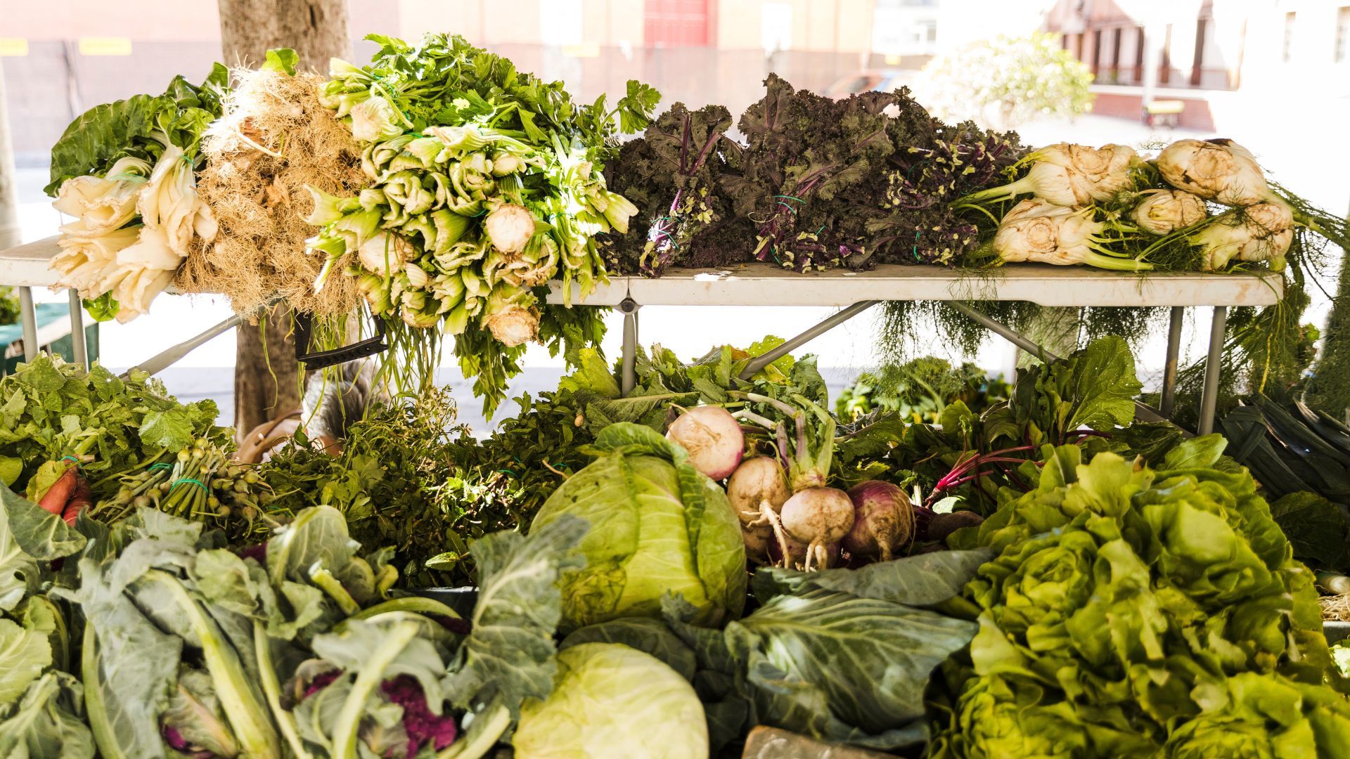 Verduras y hortalizas a la venta