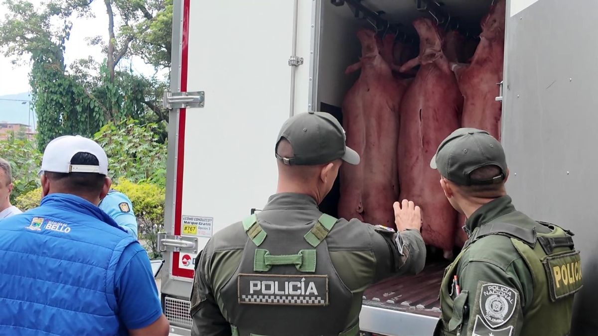 Operativos en Bello.