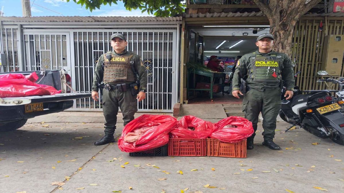 Referencia incautación carne Neiva