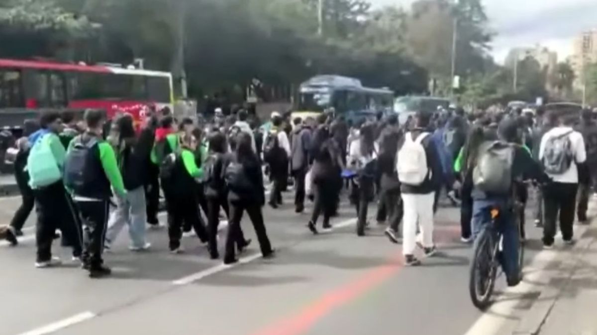 Estudiantes del Sena en movilización