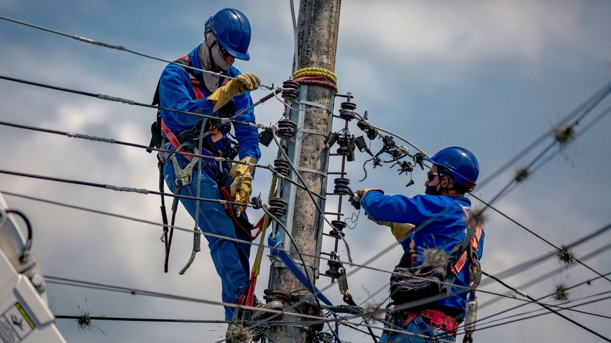 Trabajos en redes eléctricas - Essa