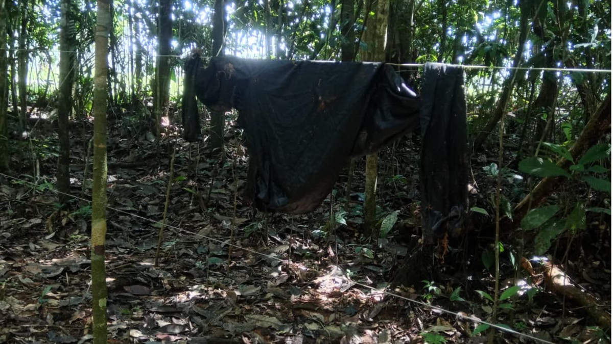 Campamento en el Guaviare