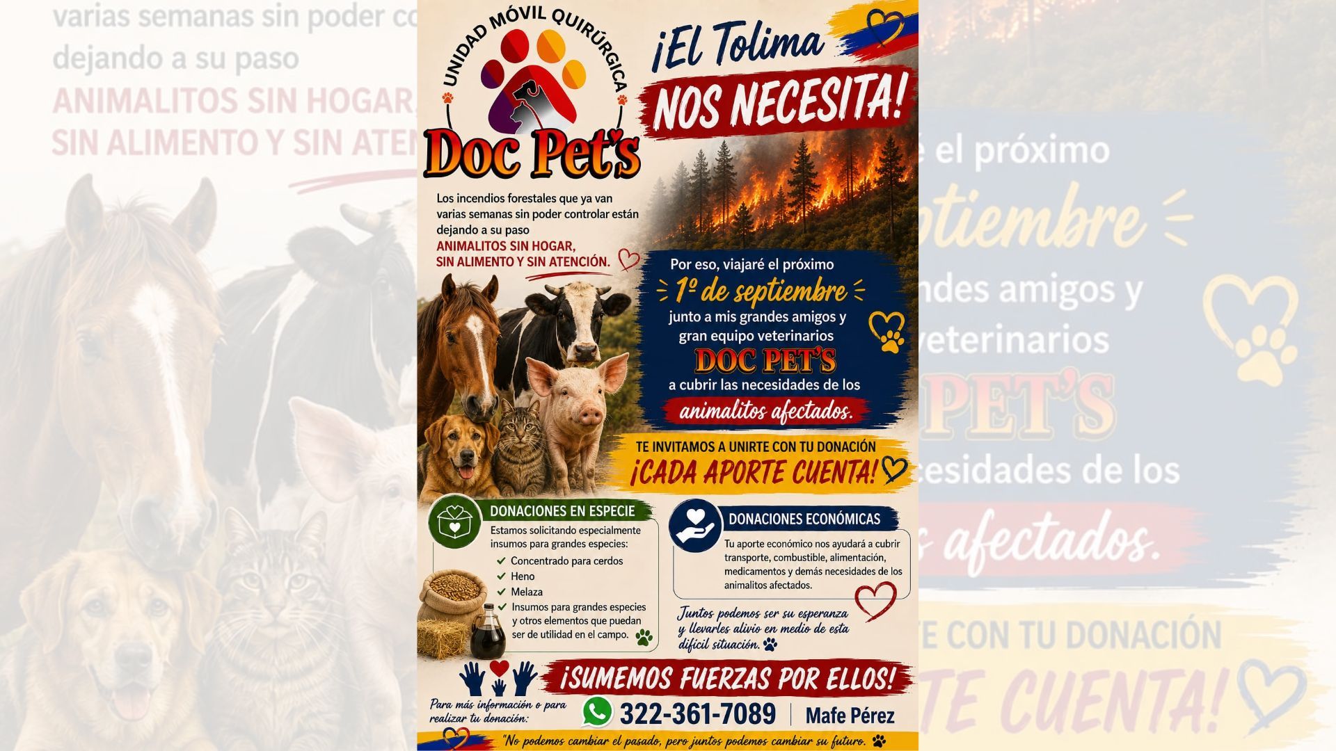 ¿Cómo ayudar a los animales afectados por los incendios en Tolima?