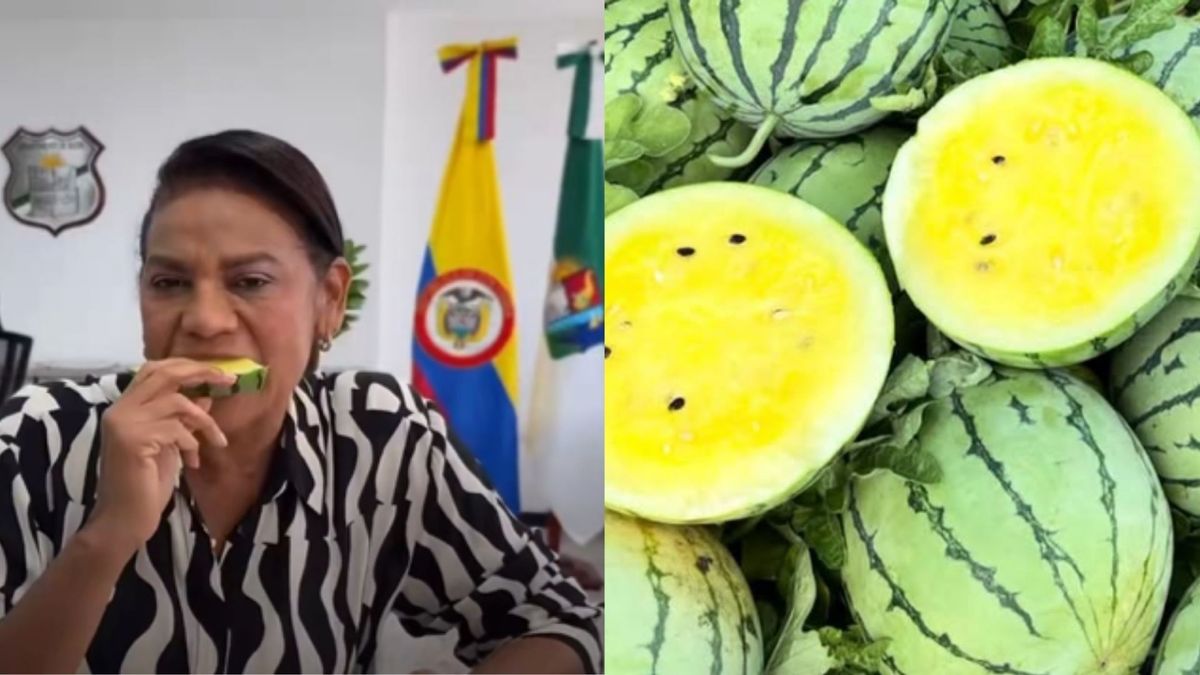 Patilla amarilla en Tolú, Sucre