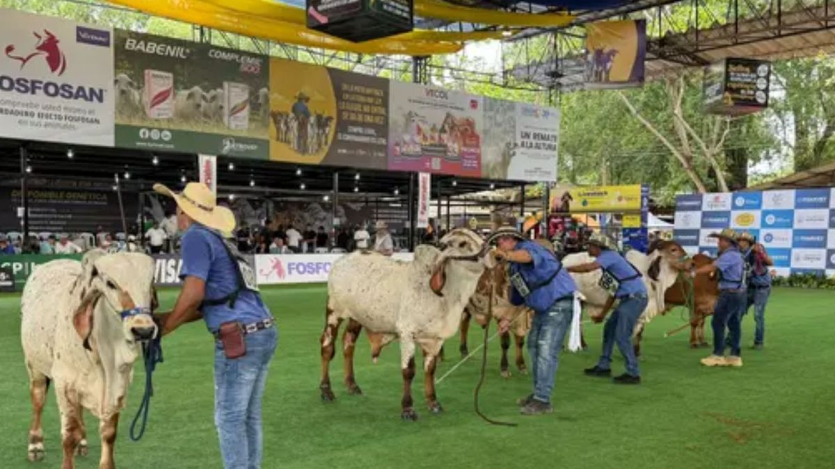 Feria Nacional Cebú