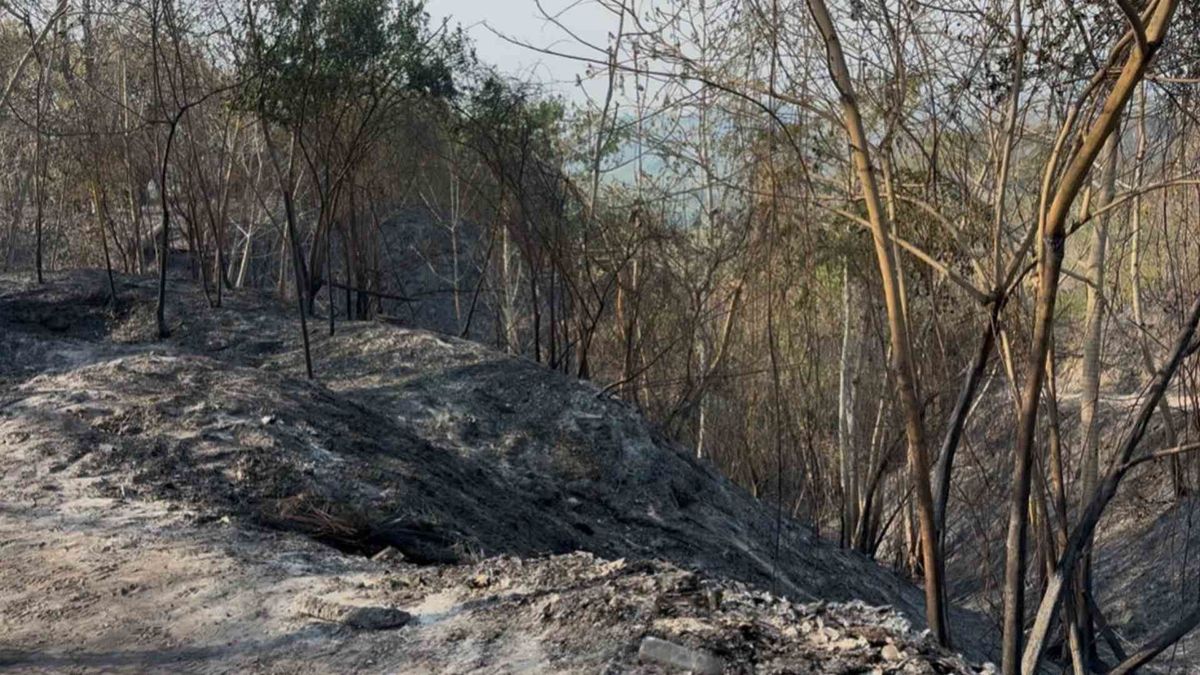 Panorama incendios Tolima | Incendios forestales en Tolima | Emergencia ambiental en Tolima