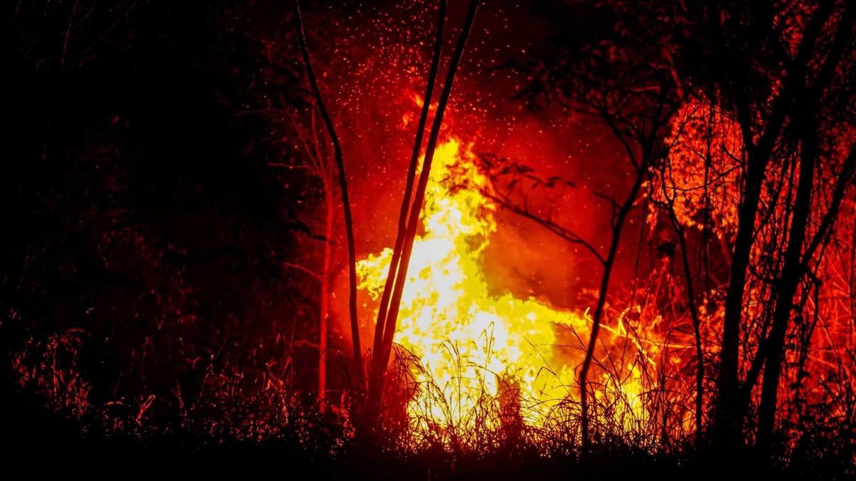 Un mes de incendios en el Tolima | Incendios forestales Tolima | Emergencias Tolima