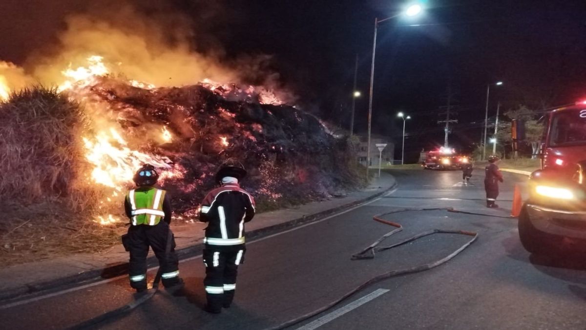 Incendios forestales generan más de 20 emergencias en Armenia durante el mes de agosto