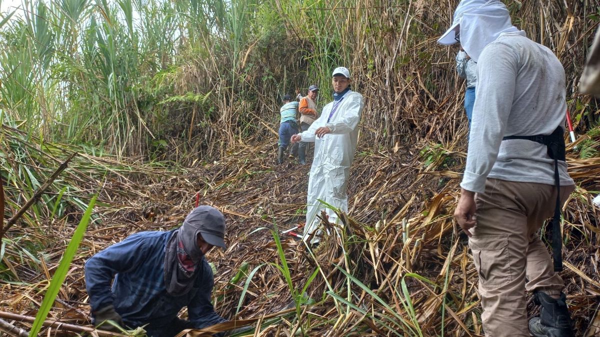 Hallazgo de cuerpos de soldados desaparecidos en Caldas