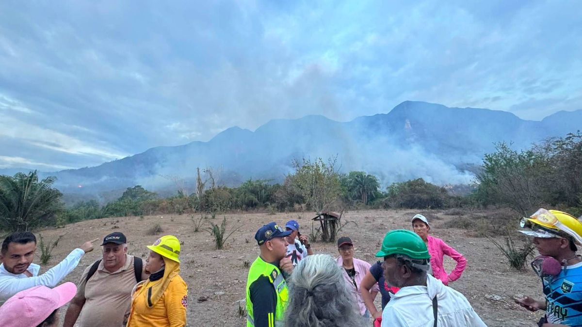 Incendios en San Luis | San Luis, Tolima | Incendios forestales