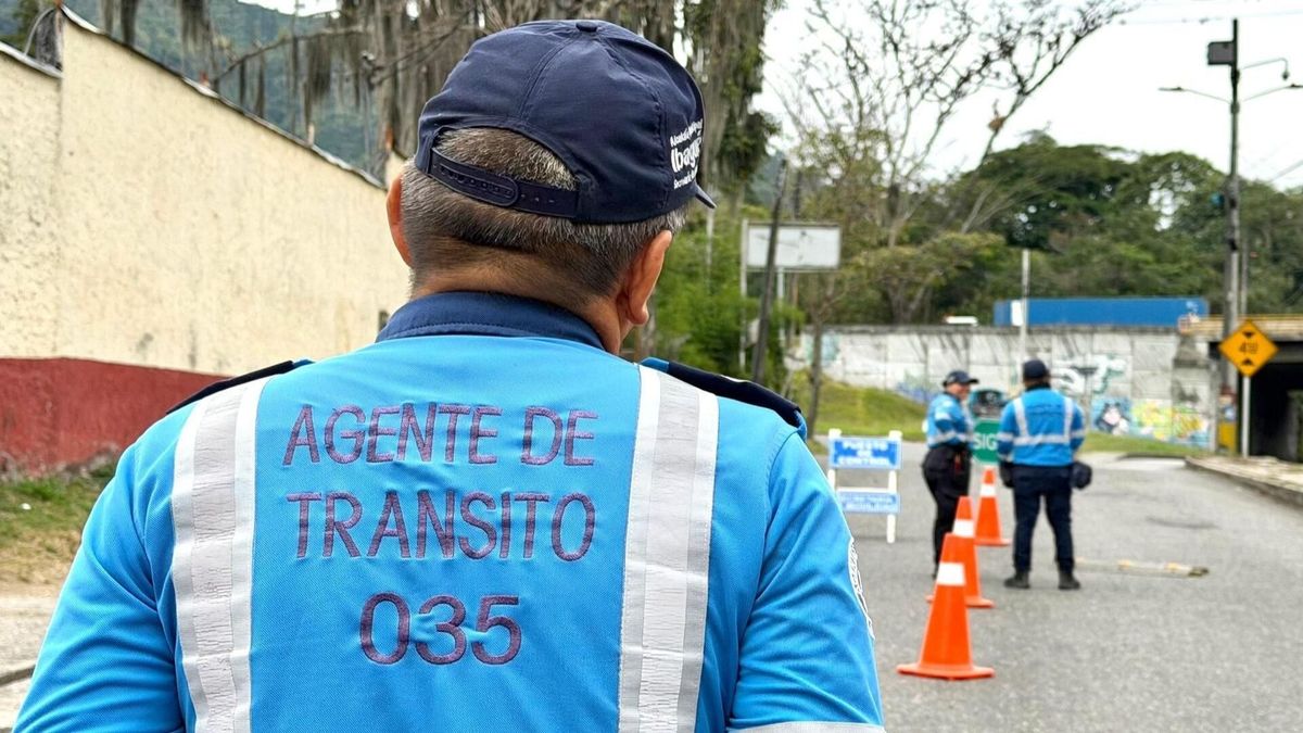Operativos de control en Ibagué | Vehículos Inmovilizados | Autoridades de Tránsito | Agosto 2026