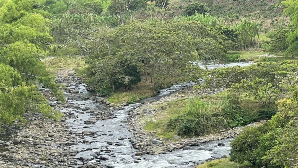 Fuentes hídricas del Quindío presentan niveles muy bajos y ya genera preocupación por posible desabastecimiento de agua