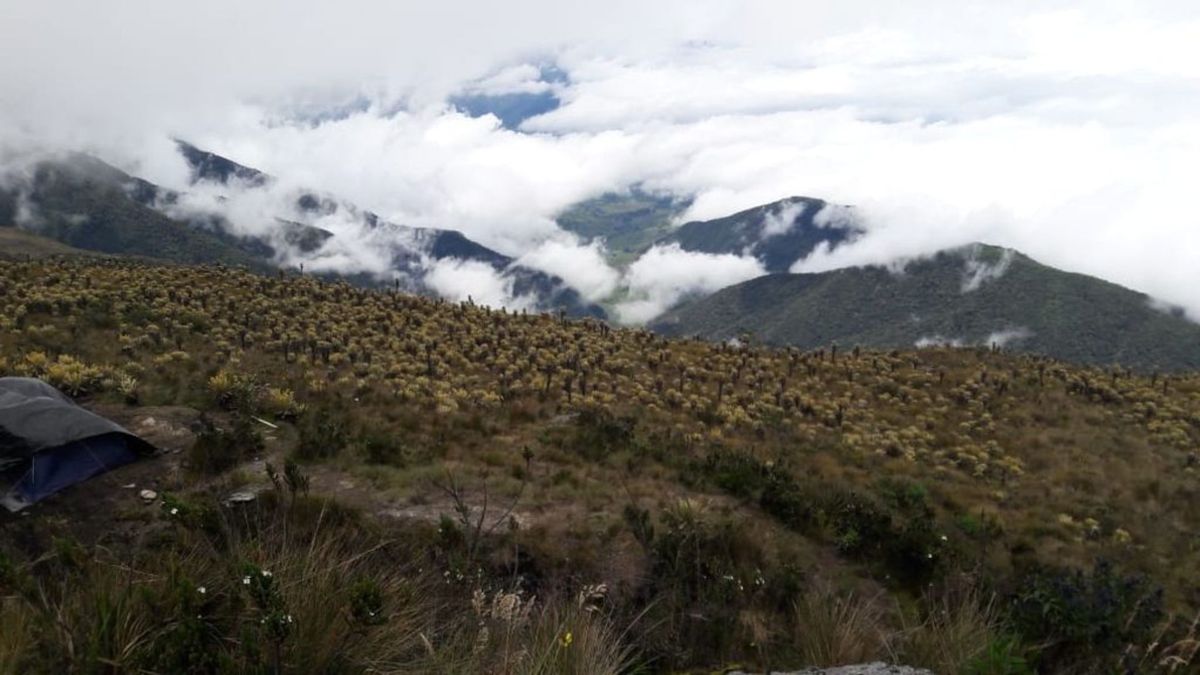 Paramo del Sol, Urrao, Antioquia