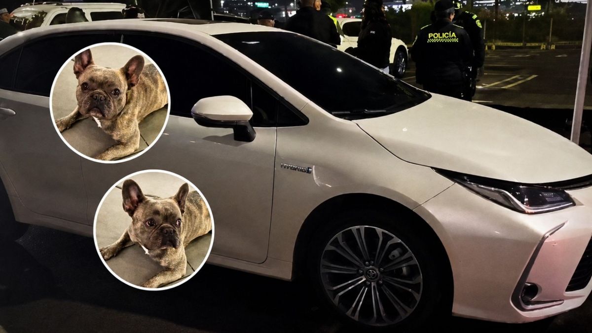 Recuperan carro robado en Engativá con mascota adentro
