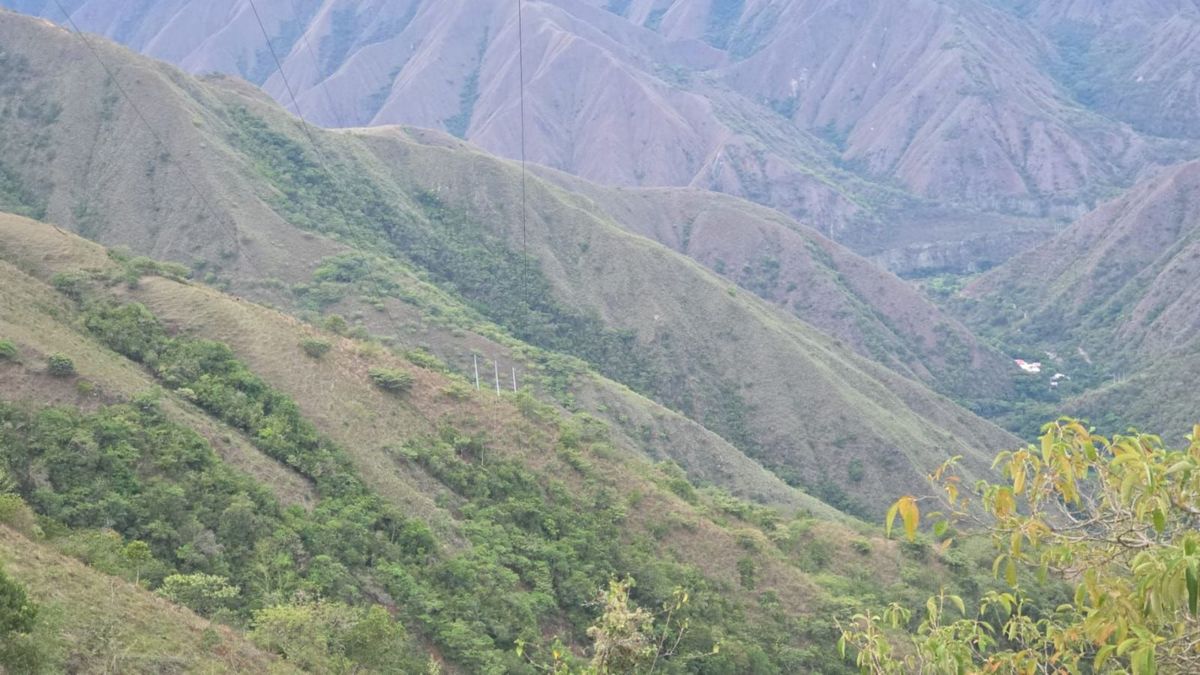 Escena del hallazgo en Antioquia.