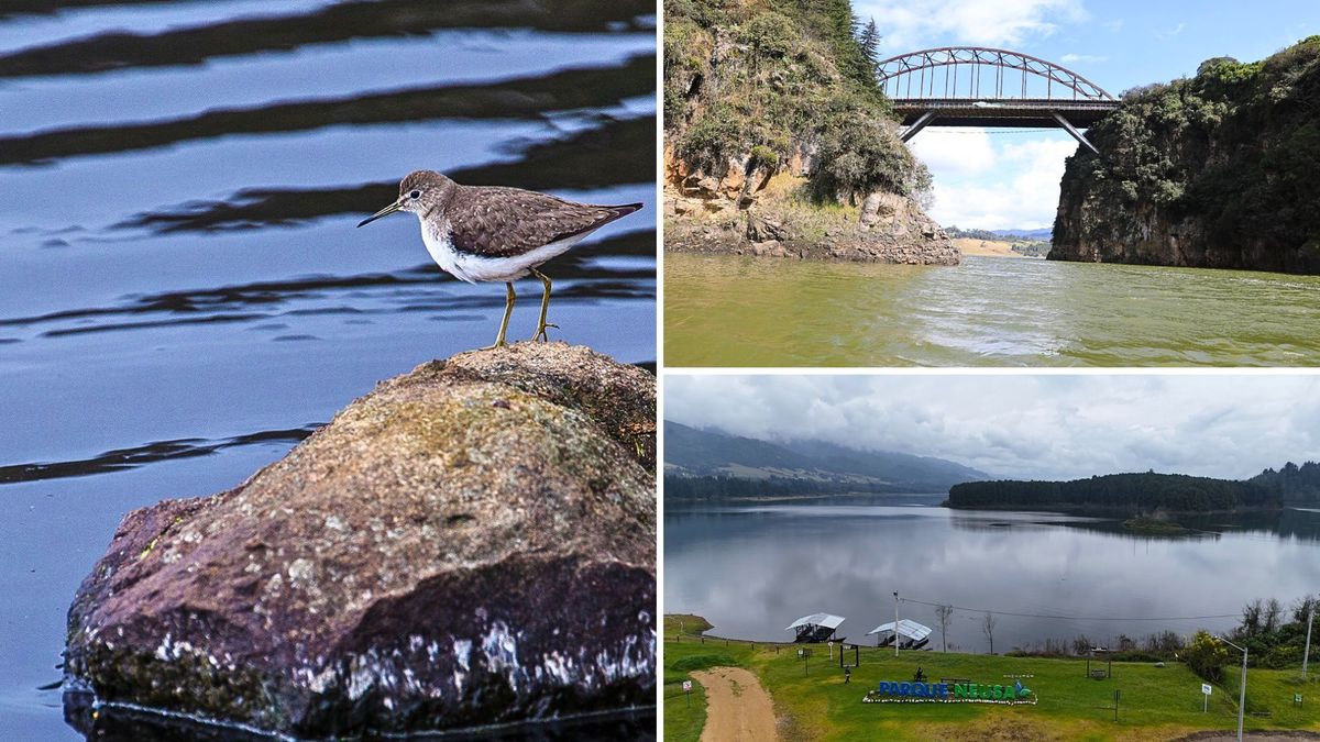 ¿Cómo están los embalses de Cundinamarca en septiembre de 2026?