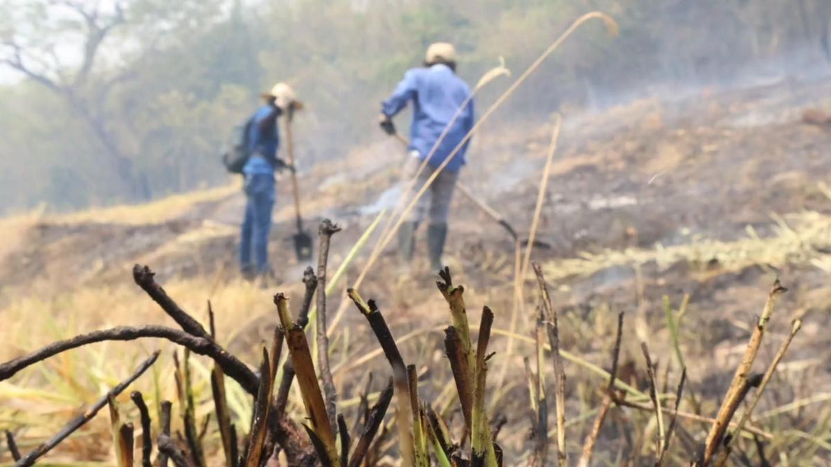 Incendios en Valle de San Juan | Pérdidas económicas | Tolima