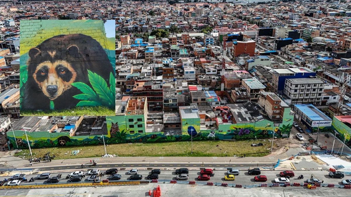 IDU cambia cemento por arte murales transforman puentes de Venecia
