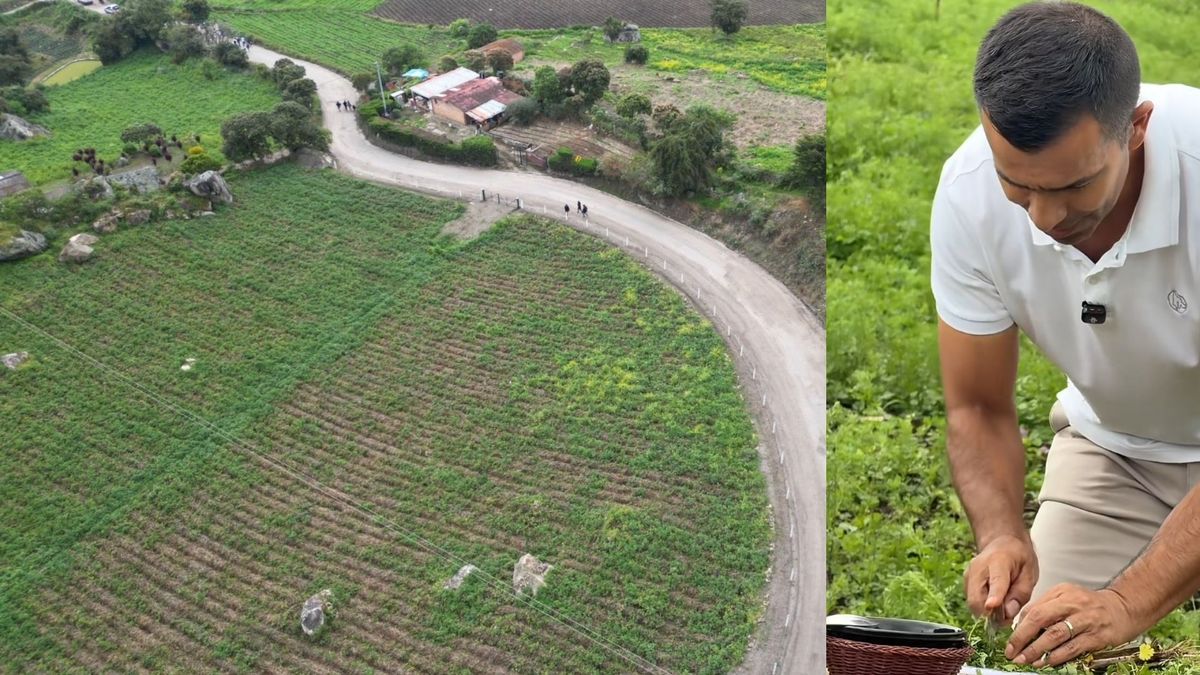Cundinamarca anuncia megainversión para vías y salud en Une
