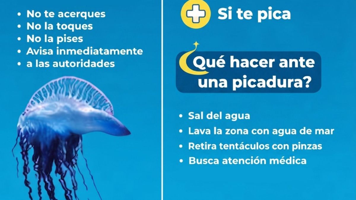 Fragata portuguesa Santa Marta