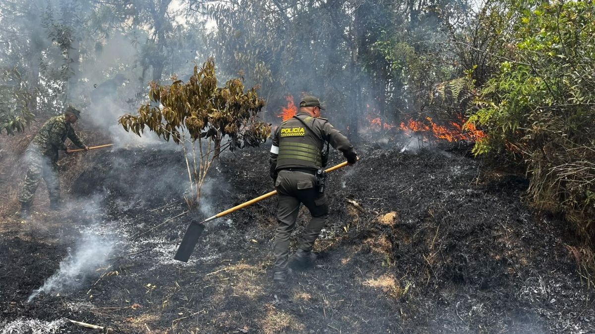 Controlaron voraz incendio forestal que consumió 5 hectáreas de vegetación en Guatapé, Antioquia