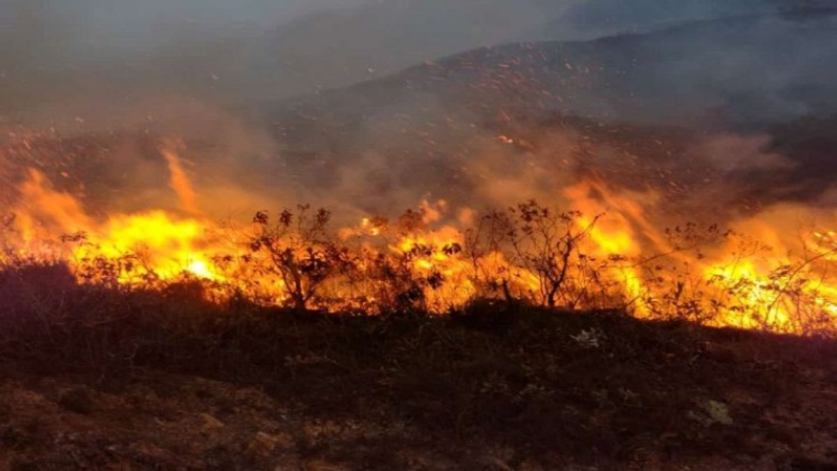 Incendio en Ábrego en Norte de Santander