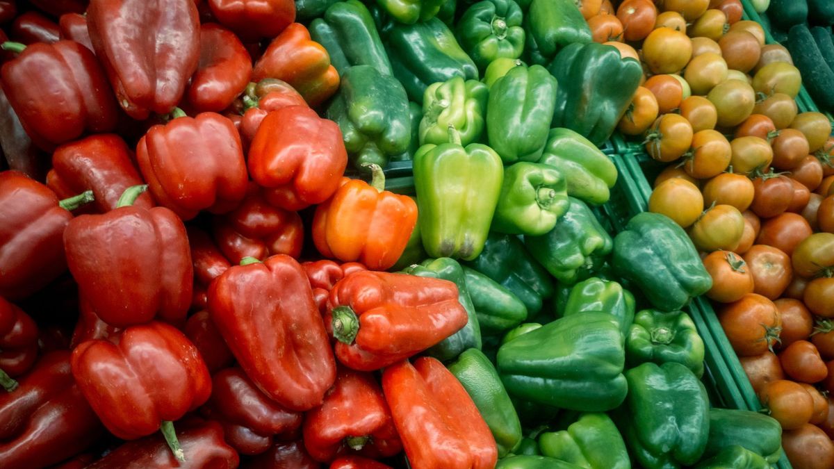 Verduras exhibidas para la venta