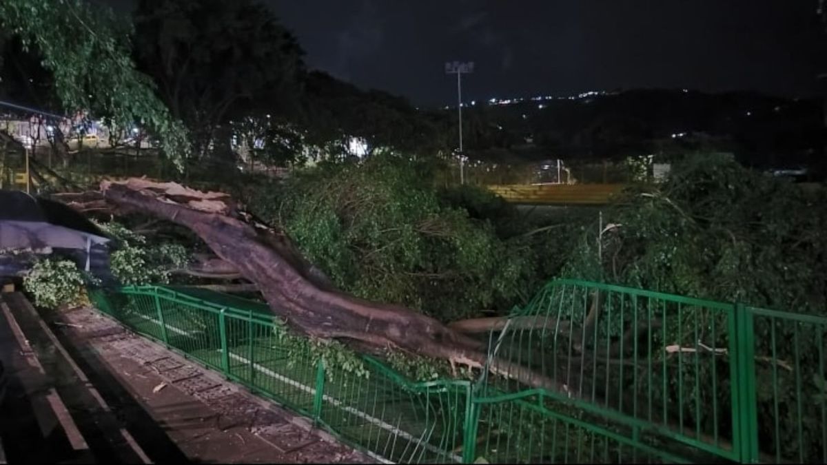 Fuerte tormenta con lluvias intensas y actividad eléctrica en Bucaramanga y el área metropolitana.