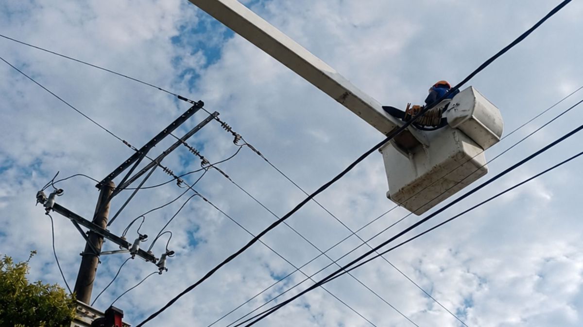 Cables - redes eléctricas - Essa